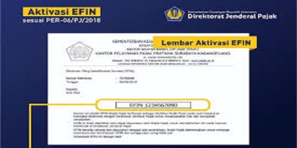 efin pajak online